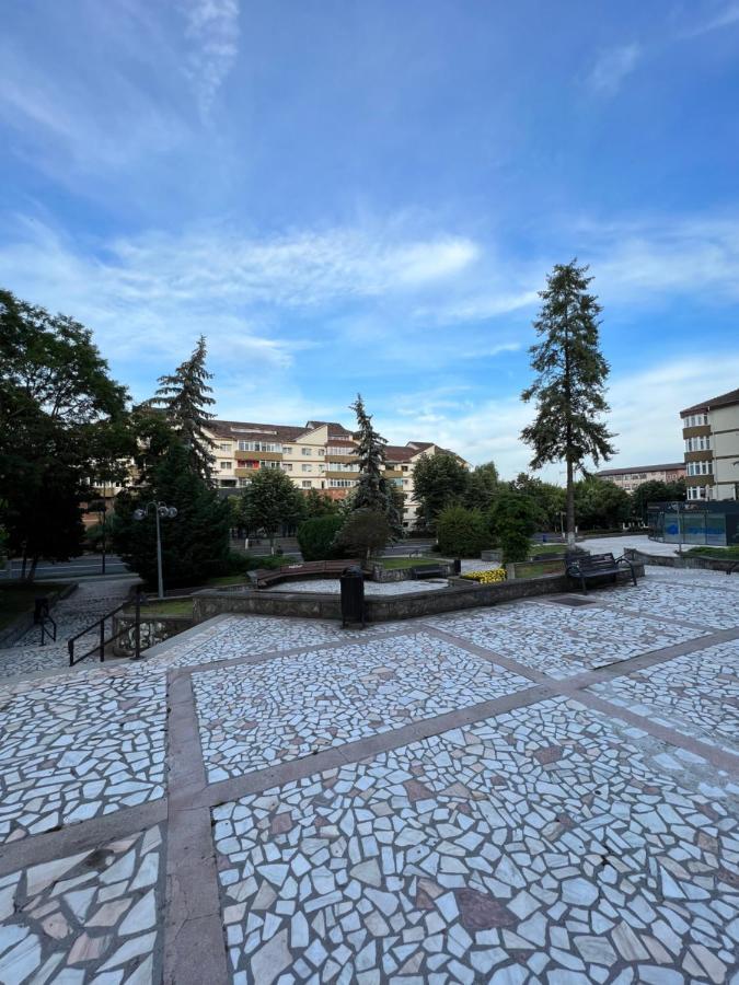 Apartament Centru Râmnicu Vâlcea Eksteriør billede